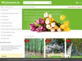 Details : Goldenplants.bg - растения и цветя на ниски цени
